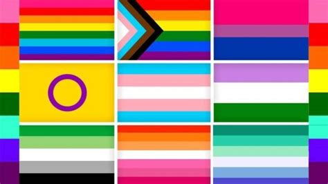 banderas de orientación sexual|Banderas LGBTIQA+: colores y significados que debes conocer